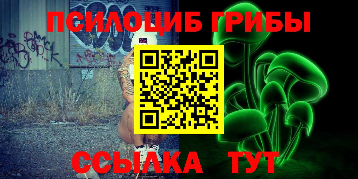 Славгород  Галлюциногенные грибы ЛСД  Вход с VPN 